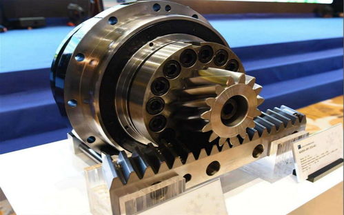 Various Cupcakes Designs